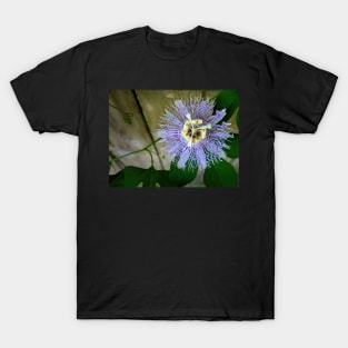 Passion flower in close-up - a photo study in green and purple T-Shirt